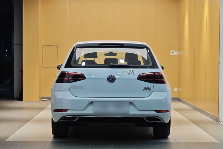 大众 高尔夫 2018款  230TSI 自动豪华型车身外观6013
