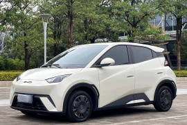 比亚迪 海鸥 2024款 荣耀版 305km 活力版