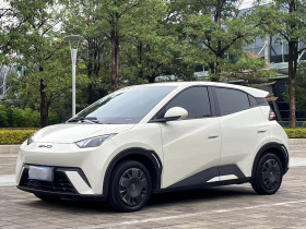 比亚迪 海鸥 2024款 荣耀版 305km 活力版