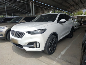 魏牌 VV6 2021款 2.0T 两驱智享+