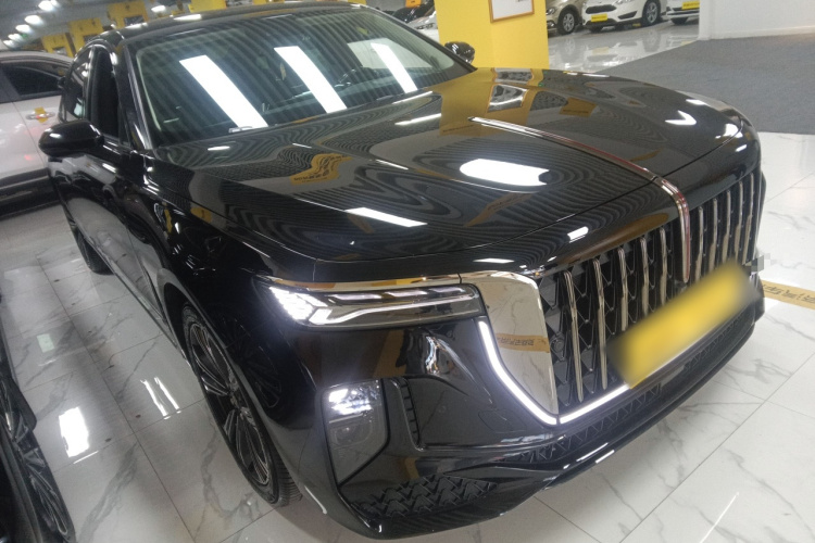 红旗H9 2024款 2.0T 旗畅 私享风尚版车身外观6002