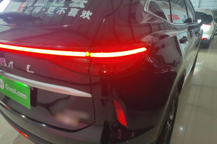 哈弗H6 2021款 第三代 1.5T 自动两驱Max车身外观9