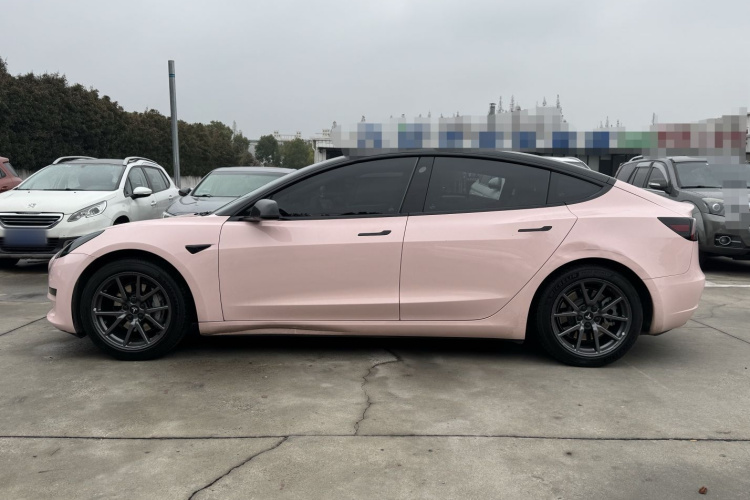 特斯拉 Model 3 2020款 标准续航后驱升级版车身外观6004