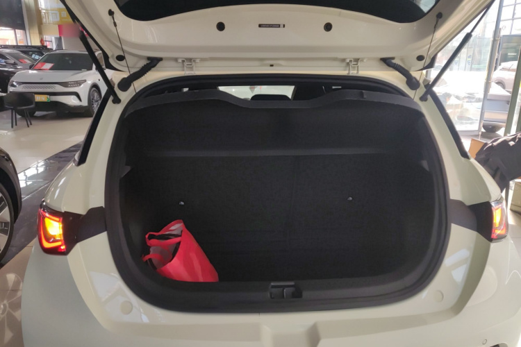 比亚迪 海豚 2023款 420km 时尚版局部细节23