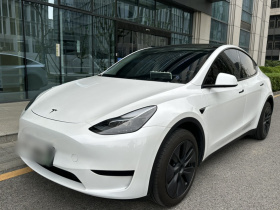 特斯拉 Model Y 2024款 后轮驱动版