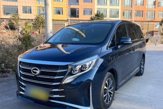 广汽传祺 传祺M8 2021款 领秀系列 390T 豪华版