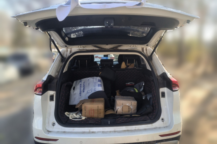 哈弗H6 2021款 国潮版 1.5GDIT 自动冠军版中控内饰23