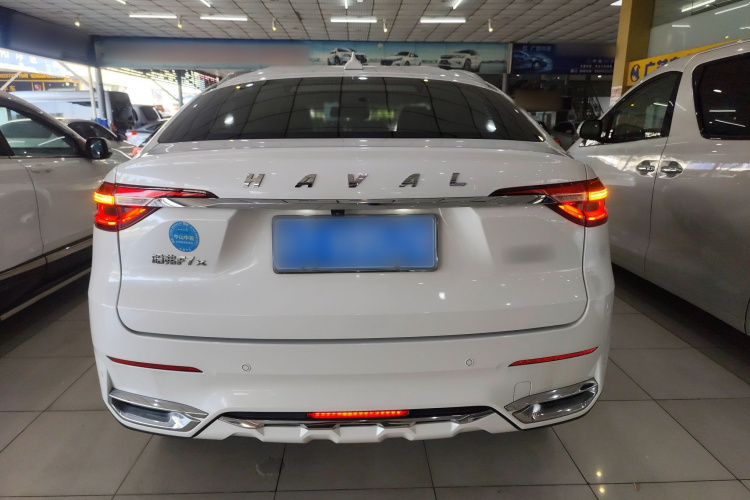 哈弗F7x 2019款 1.5T 两驱极智潮玩版车身外观6