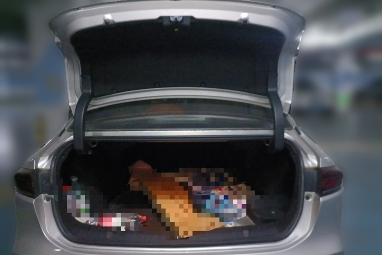 埃安 AION S 2019款 魅Max 630中控内饰23