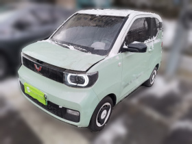 五菱汽车 宏光MINIEV 2021款 马卡龙臻享款 磷酸铁锂