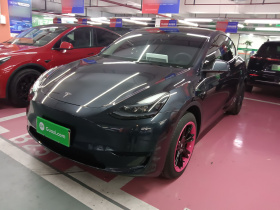 特斯拉 Model Y 2024款 后轮驱动版