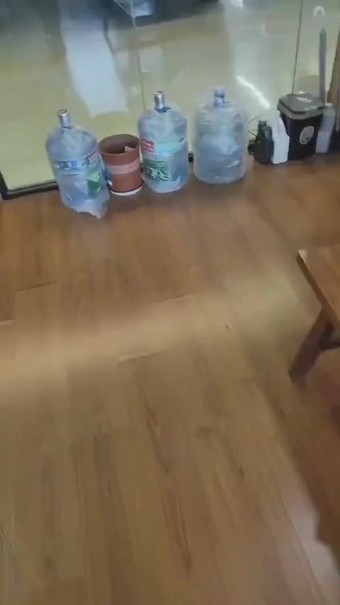 极氪001 2022款 长续航双电机 WE版讲解2