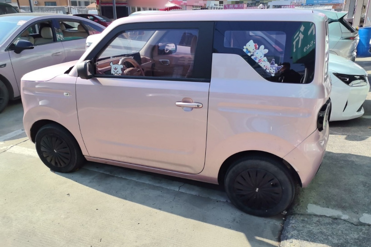 吉利银河 2023款 熊猫mini 200km 耐力熊车身外观4