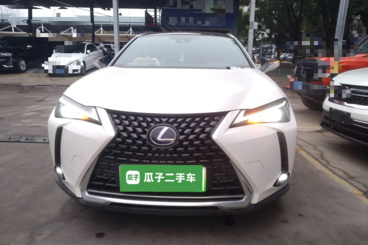 雷克萨斯UX新能源 2020款 300e 纯·悦版车身外观6001