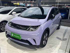 比亚迪 海豚 2024款 荣耀版 420km 时尚版