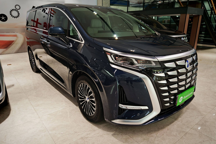 腾势D9 2024款 DM-i 980 四驱尊荣型车身外观6001