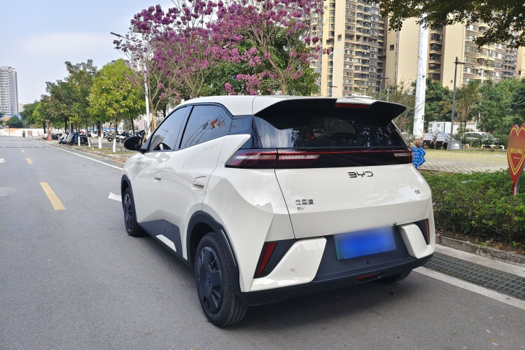 比亚迪 海鸥 2025款 智驾版 305km 活力版车身外观6006