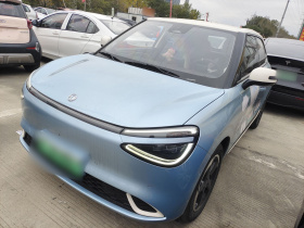 东风纳米 纳米01 2024款 430 Max