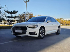 奥迪A6L 2019款 45 TFSI 臻选致雅型
