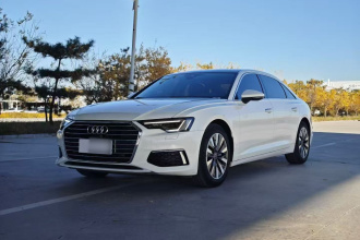 奥迪A6L 2019款 45 TFSI 臻选致雅型