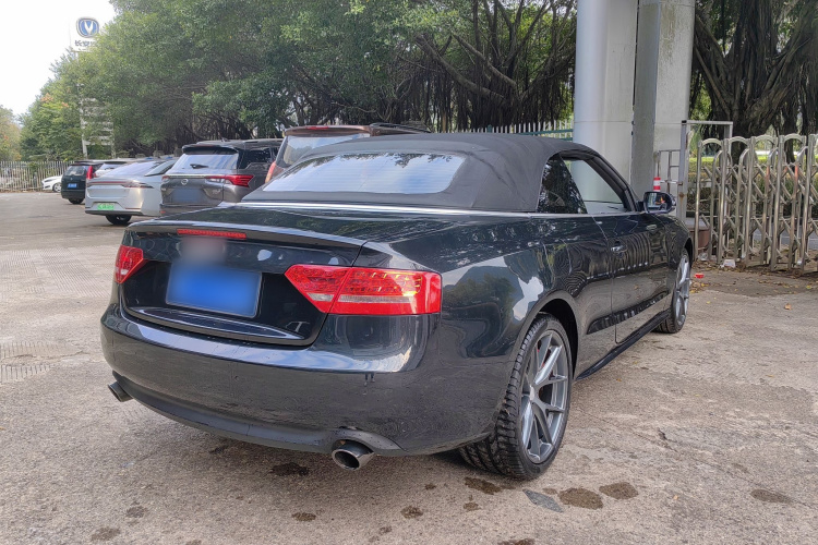 奥迪A5 2010款 2.0TFSI Cabriolet车身外观6006