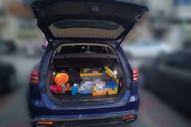 红旗HS5 2019款 2.0T 智联旗享版局部细节23