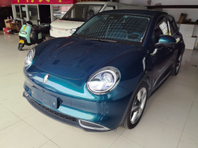 欧拉好猫 2023款 401km标准续航 豪华型 磷酸铁锂