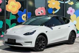 特斯拉 Model Y 2021款 标准续航后驱版