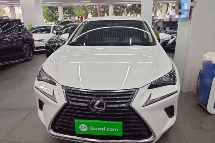 雷克萨斯NX 2020款 200 前驱 锋行版 国VI车身外观2