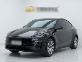 特斯拉 Model Y 2025款 后轮驱动版