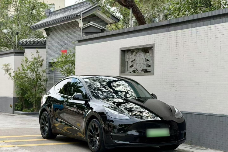 特斯拉 Model Y 2021款 标准续航后驱版车身外观6007