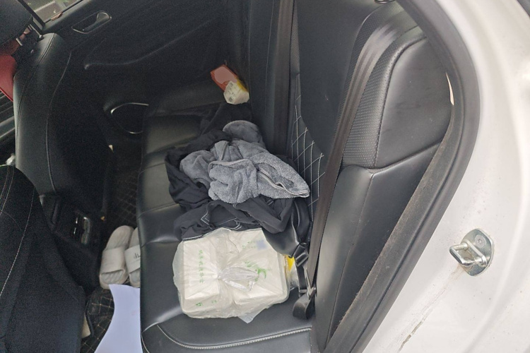 奇瑞 艾瑞泽GX 2019款 Pro 1.5T CVT型色版 国VI中控内饰7004