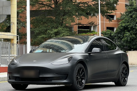 特斯拉 Model 3 2020款 改款 标准续航后驱升级版