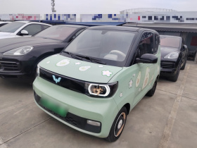 五菱汽车 宏光MINIEV 2021款 马卡龙臻享款 磷酸铁锂