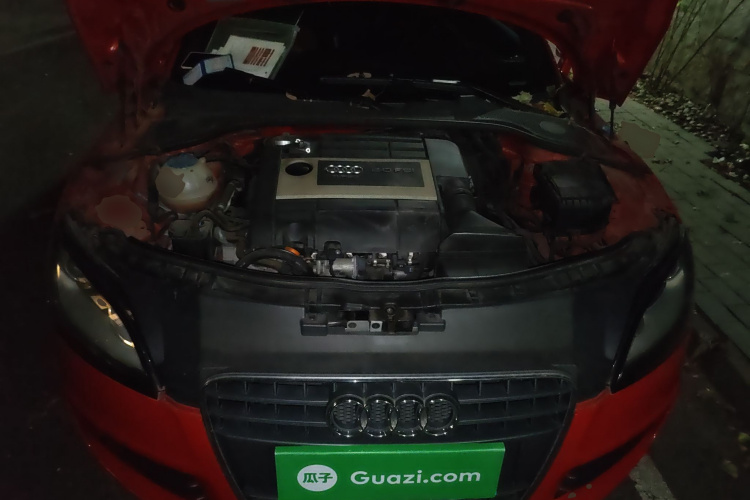 奥迪TT 2010款 TT 2.0TFSI典藏版局部细节24