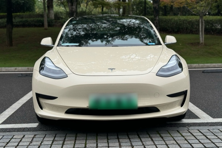 特斯拉 Model 3 2019款 标准续航后驱升级版车身外观6007
