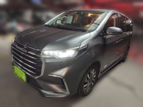 上汽大通MAXUS 大通G20 2020款 2.0T 汽油自动豪华版