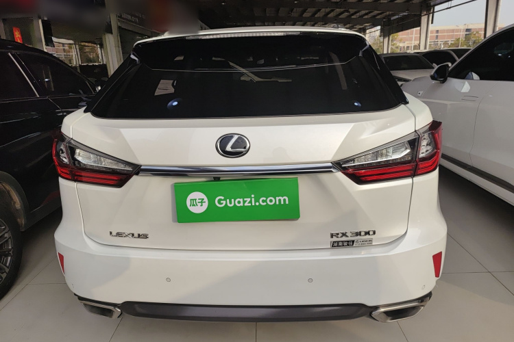 雷克萨斯RX 2016款 300 四驱典雅版 国V车身外观6