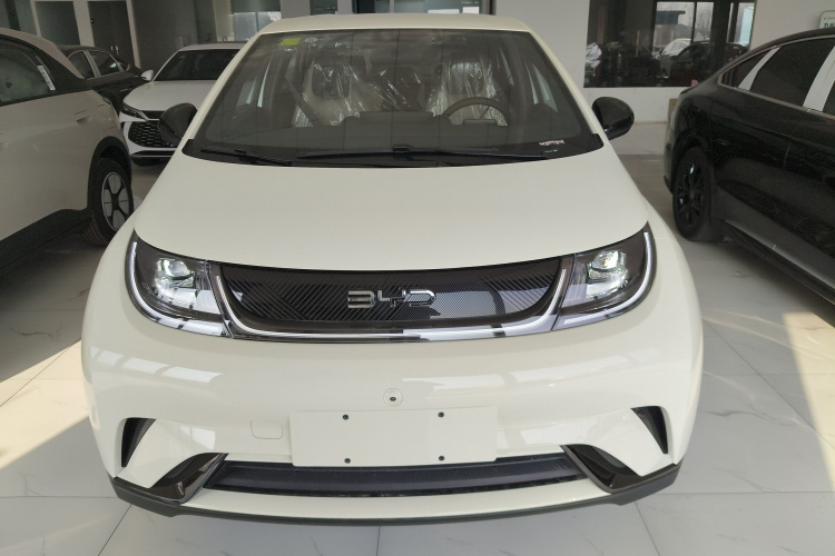 比亚迪 海豚 2025款 420km 自由版车身外观2