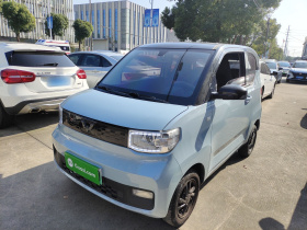 五菱汽车 宏光MINIEV 2020款 自在款 磷酸铁锂