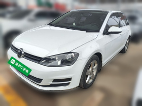 大众 高尔夫 2016款 230TSI 自动舒适型
