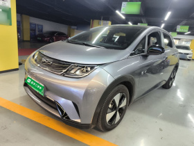 比亚迪 海豚 2023款 420km 时尚版