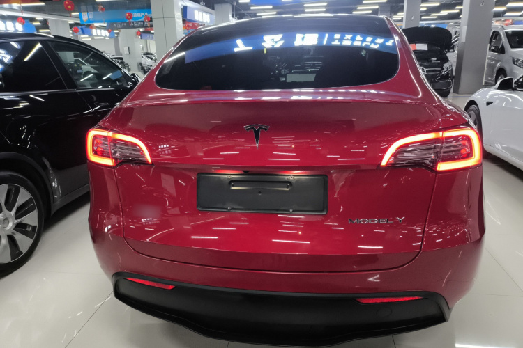 特斯拉 Model Y 2021款 长续航全轮驱动版车身外观6004