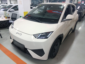 比亚迪 海鸥 2025款 305km 活力版