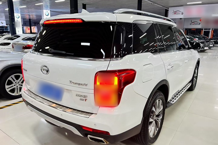 广汽传祺 传祺GS8 2017款 320T 两驱豪华智联版（七座）车身外观6005