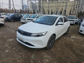 吉利汽车 帝豪新能源 2021款 EV Pro 网约版