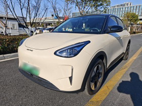 吉利银河 星愿 2025款 310km 梦想版