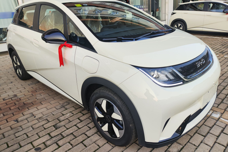 比亚迪 海豚 2025款 420km 自由版车身外观6002