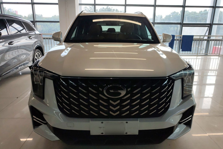 广汽传祺 传祺GS8 2022款 领航系列 2.0TGDI 两驱豪华智联版（七座）车身外观2