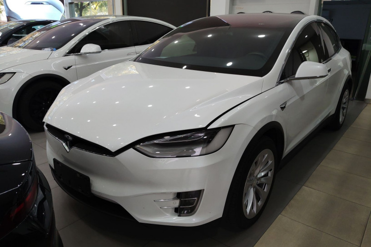 特斯拉 Model X 2019款 长续航版车身外观1